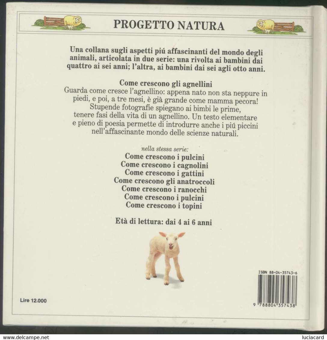 COME CRESCONO GLI AGNELLINI -PROGETTO NATURA -MONDADORI 1992 - Enfants Et Adolescents