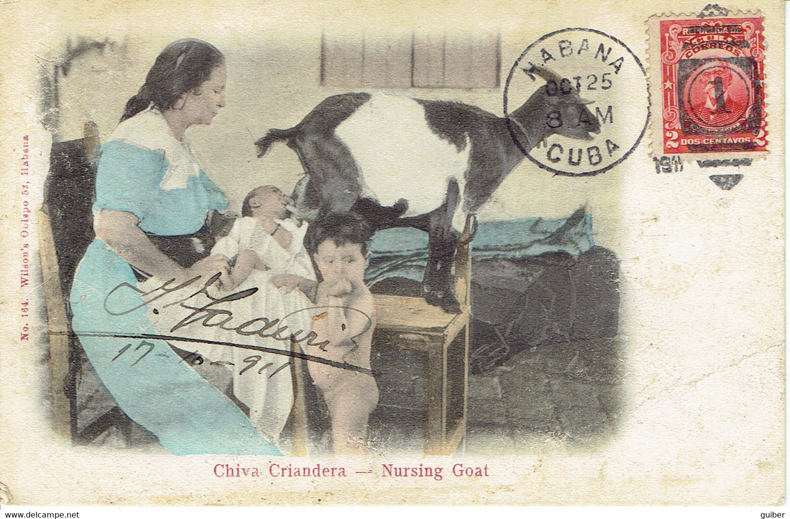 Cuba Habana  Chira Criandura  Nursing Goat 1925 - Kuba