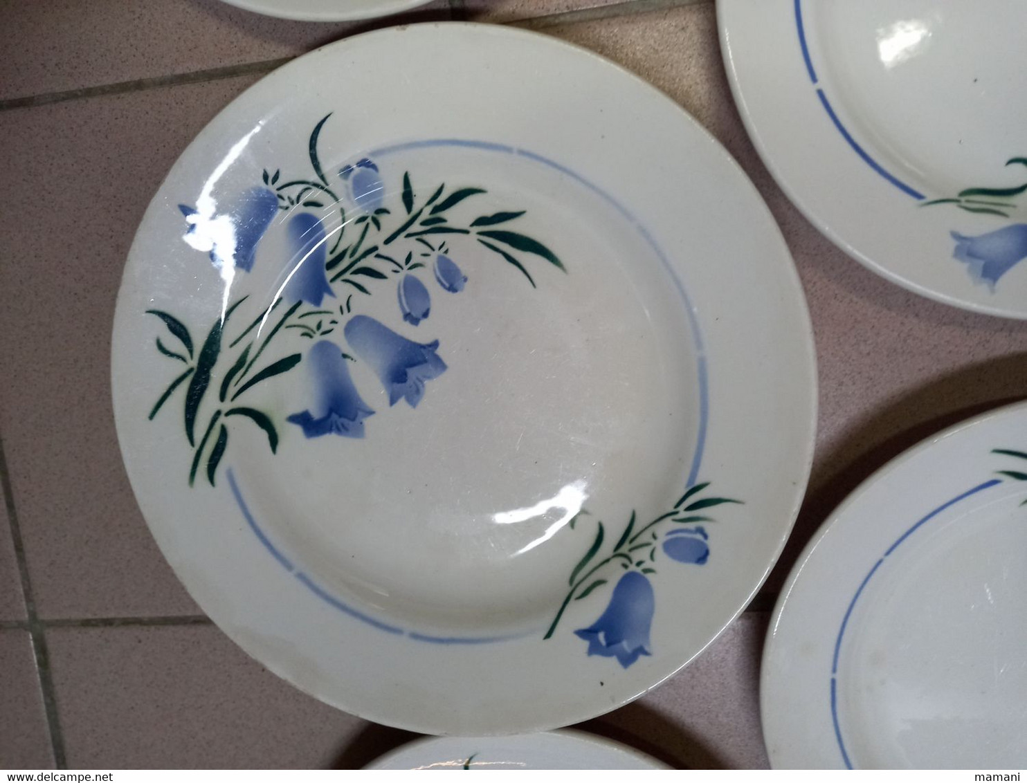 6 Assiettes Décor Campanule - Plates