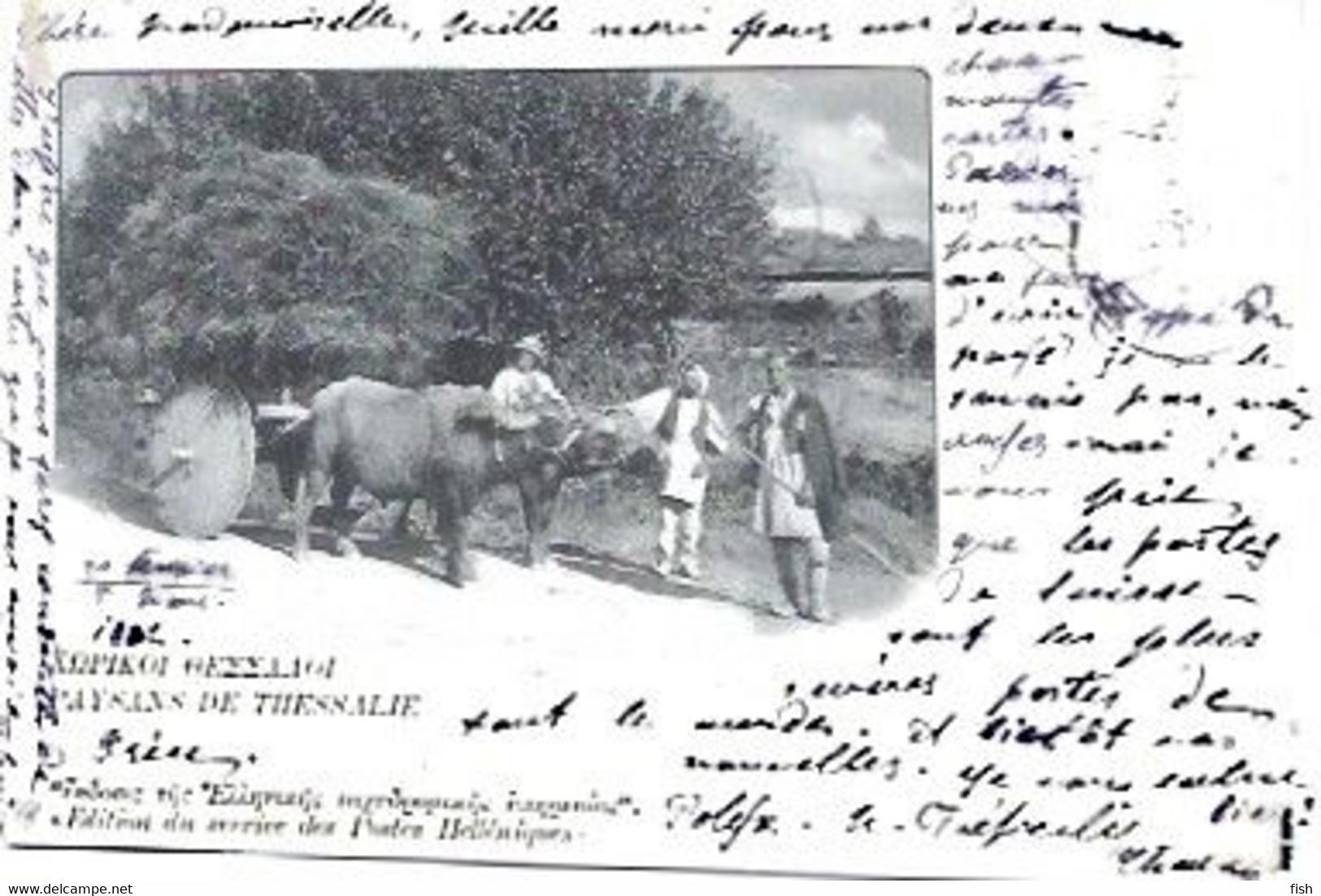 Greece & Marcofilia, Paysans De Thessalie, Lausanne Switzerland 1902 (4666) - Lettres & Documents