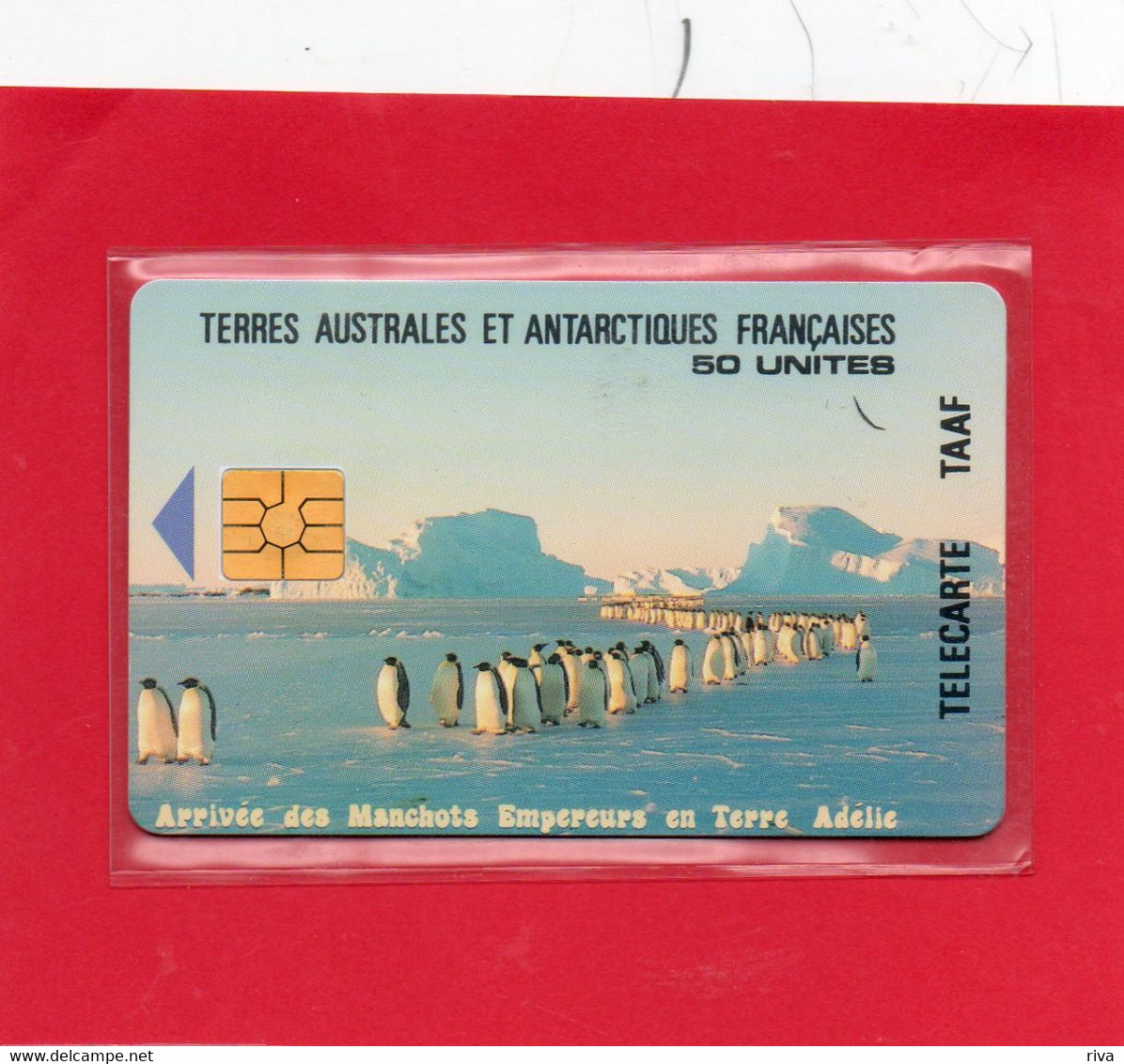 TELECARTE TAAF ( 50 Unités Neuves ) - Pinguini