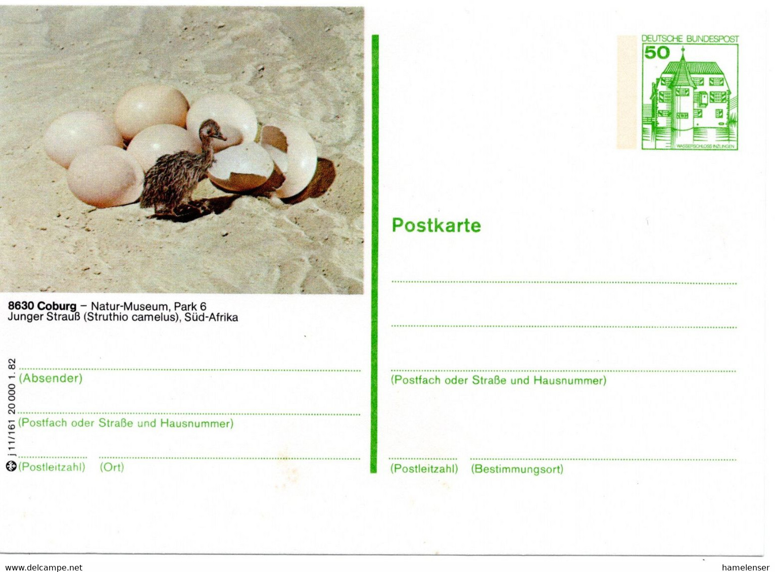 54984 - Bund - 1982 - 50Pfg BildGAKte B&S "Junger Strauss" - Ostriches