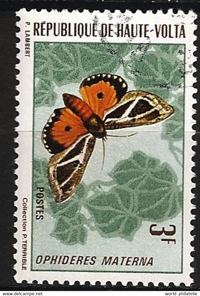 Haute Volta 1971 N° 244 O Animaux, Papillons, Papillon, Ophi Deresmaterna, Ophideres Materna - Haute-Volta (1958-1984)