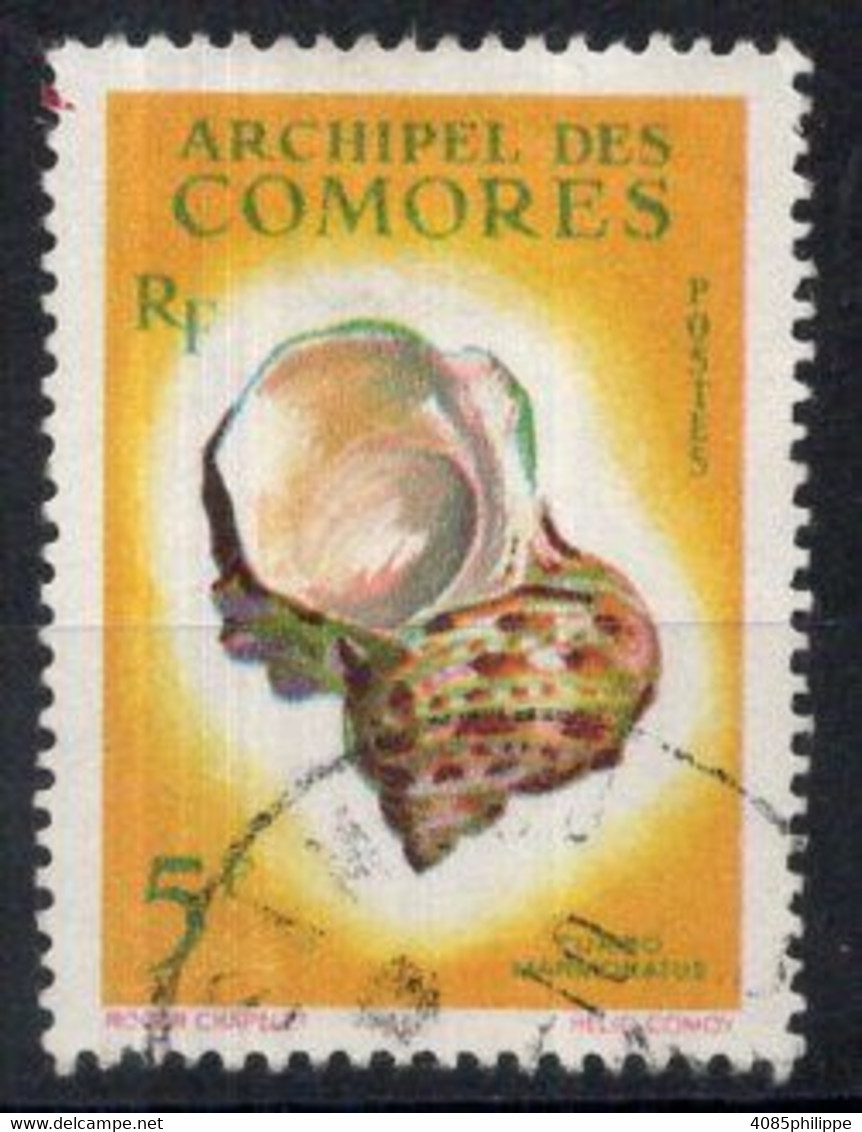 COMORES Timbre-poste N°22 Oblitéré  TB  Cote : 4.50€ - Used Stamps