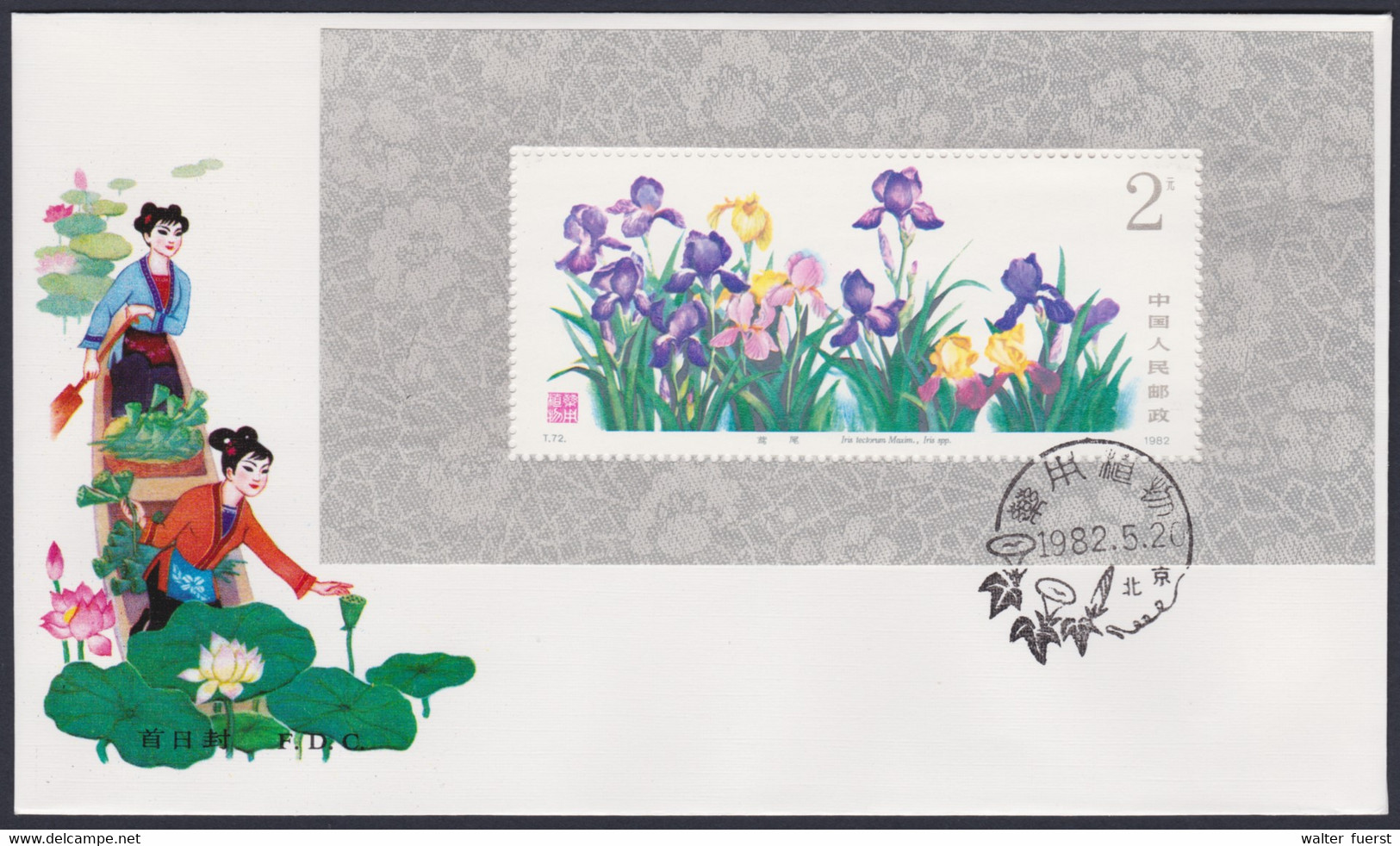 CHINA 1982, Souvenir Sheet "Medical Plants" T.72m, On FDC - 1980-1989