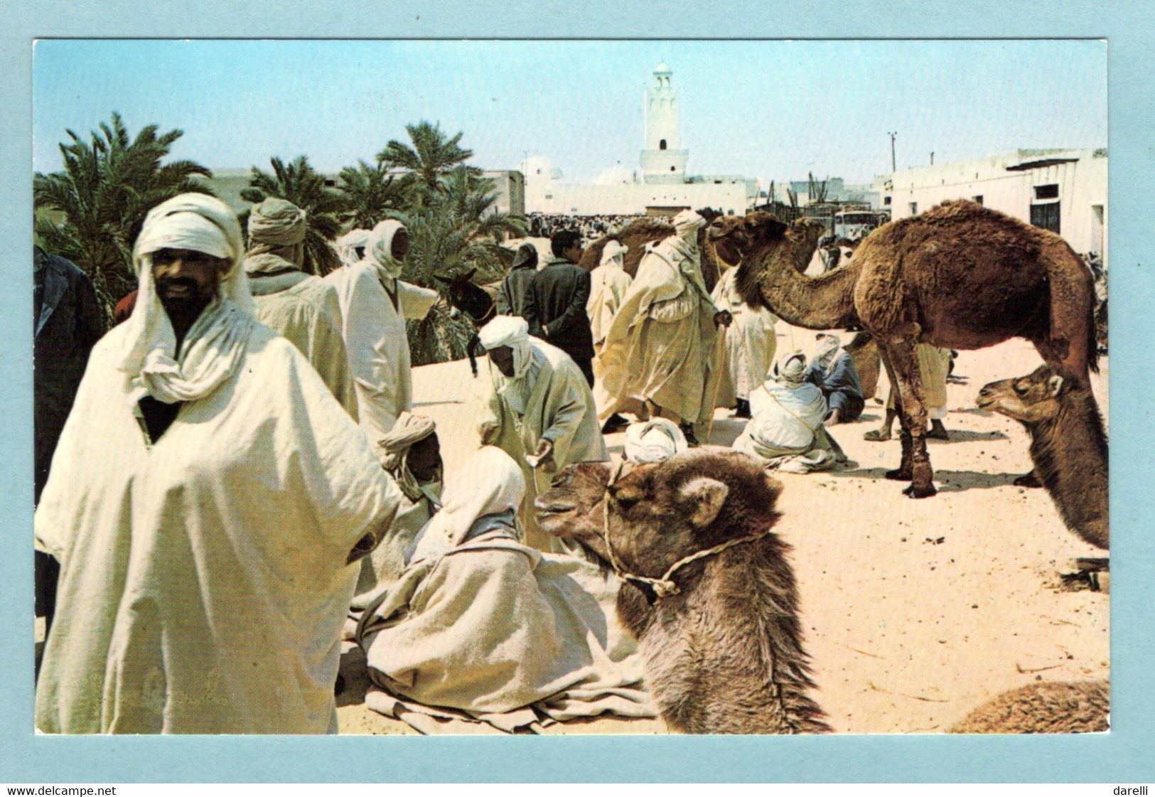 CP Algérie - El Oued - Le Souk Aux Chameaux - El-Oued