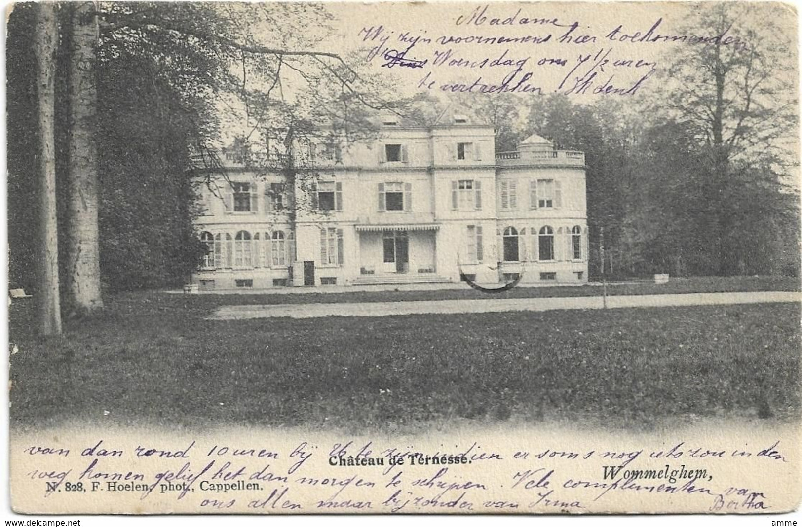 Wommelgem    *  Chateau De Ternesse   (Hoelen,828) - Wommelgem