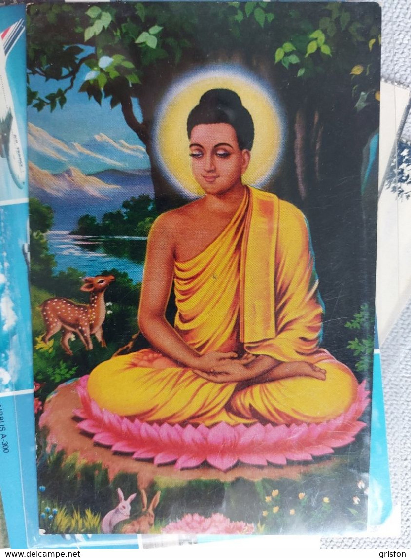 Lord  Buda Buddha - Buddismo