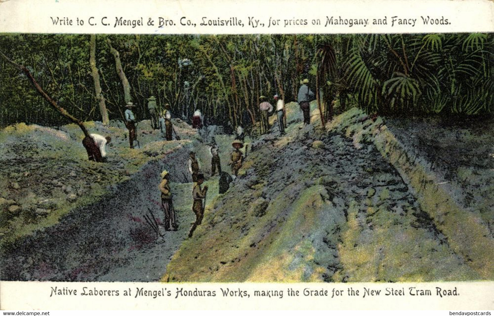 Br. Honduras, BELIZE, Native Laborers Making Grade Mengel's Mahogany Camp (1907) - Belice