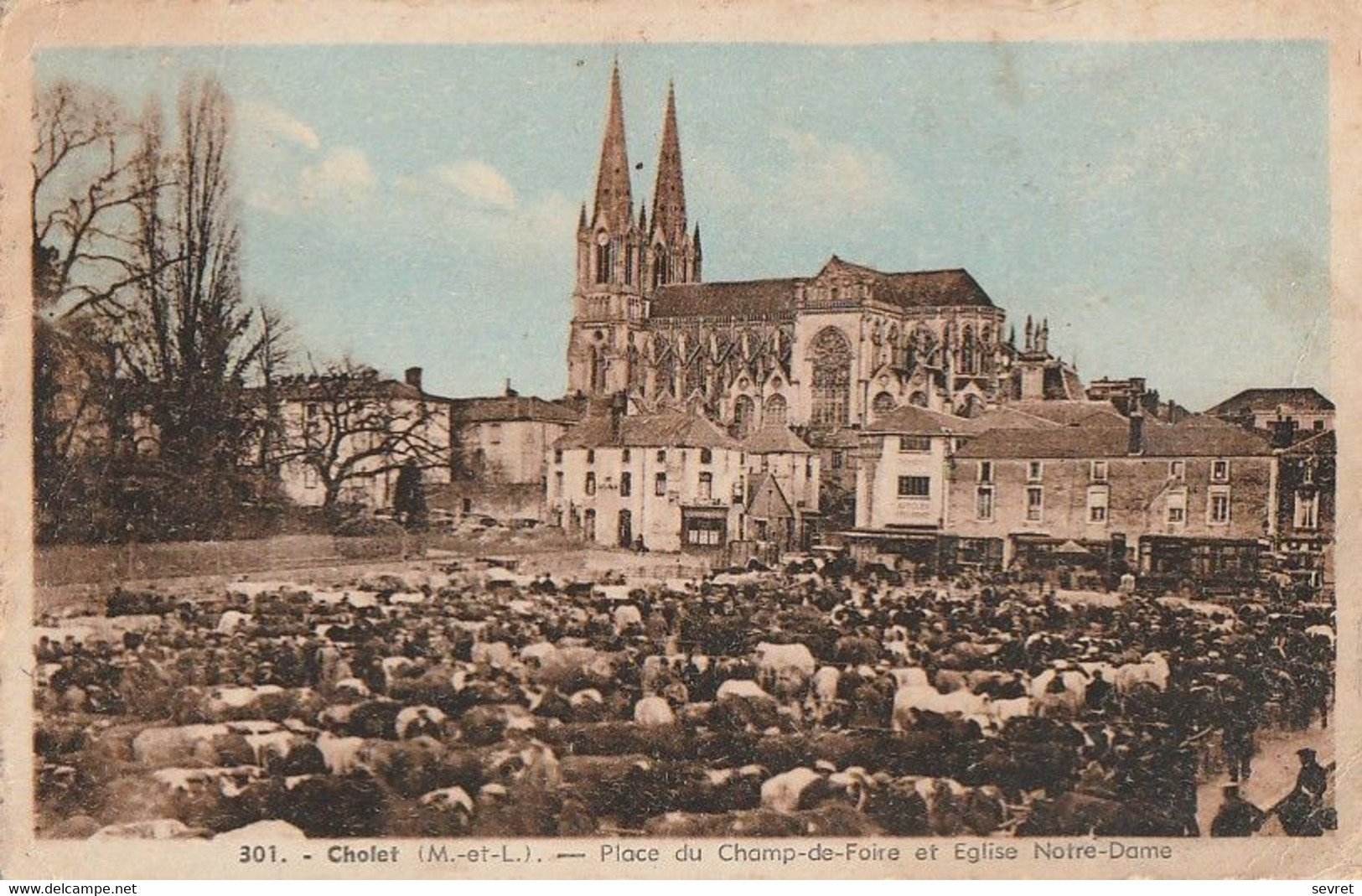 CHOLET. - Place Du Champ De Foire Et Eglise Notre-Dame - Cholet