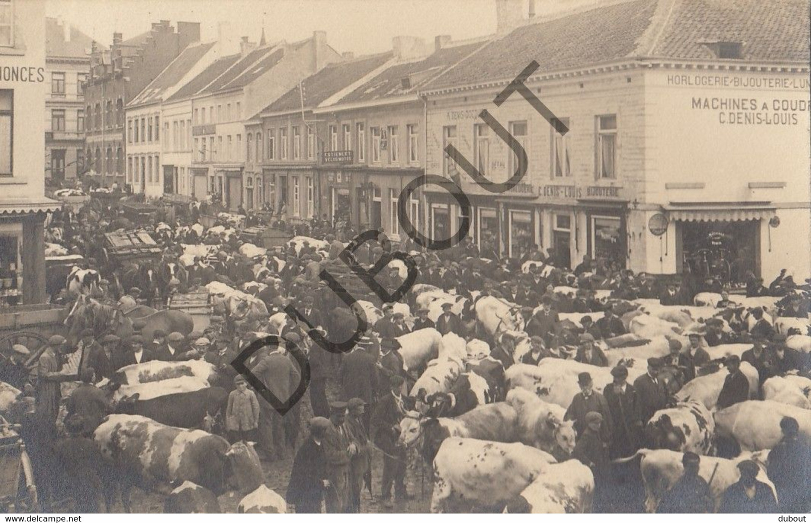 Jodoigne/Geldenaken - Marché Au Bétail - Carte Photo Originale!!   (C2614) - Jodoigne