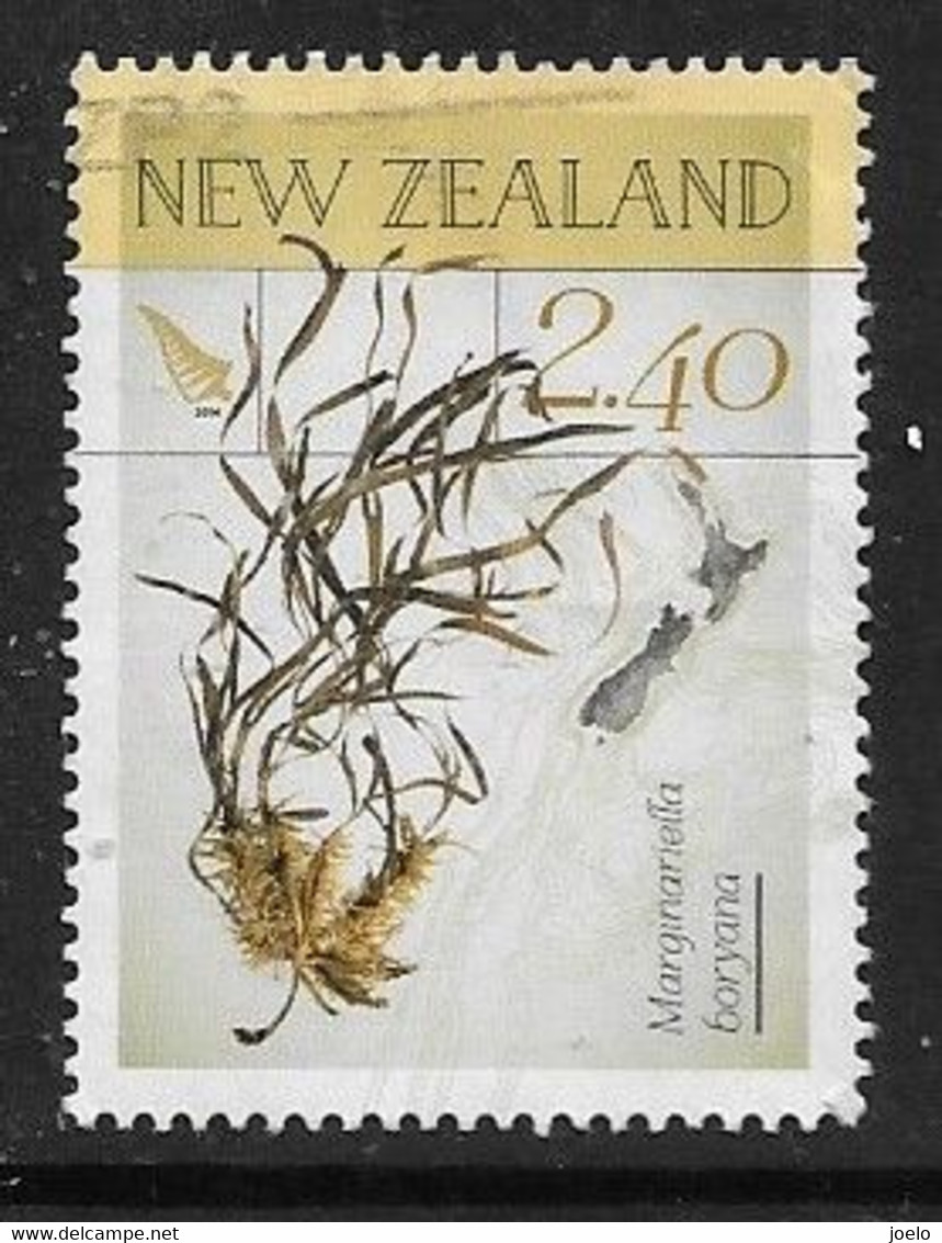 NEW ZEALAND NATIVE SEAWEEDS - Used Stamps