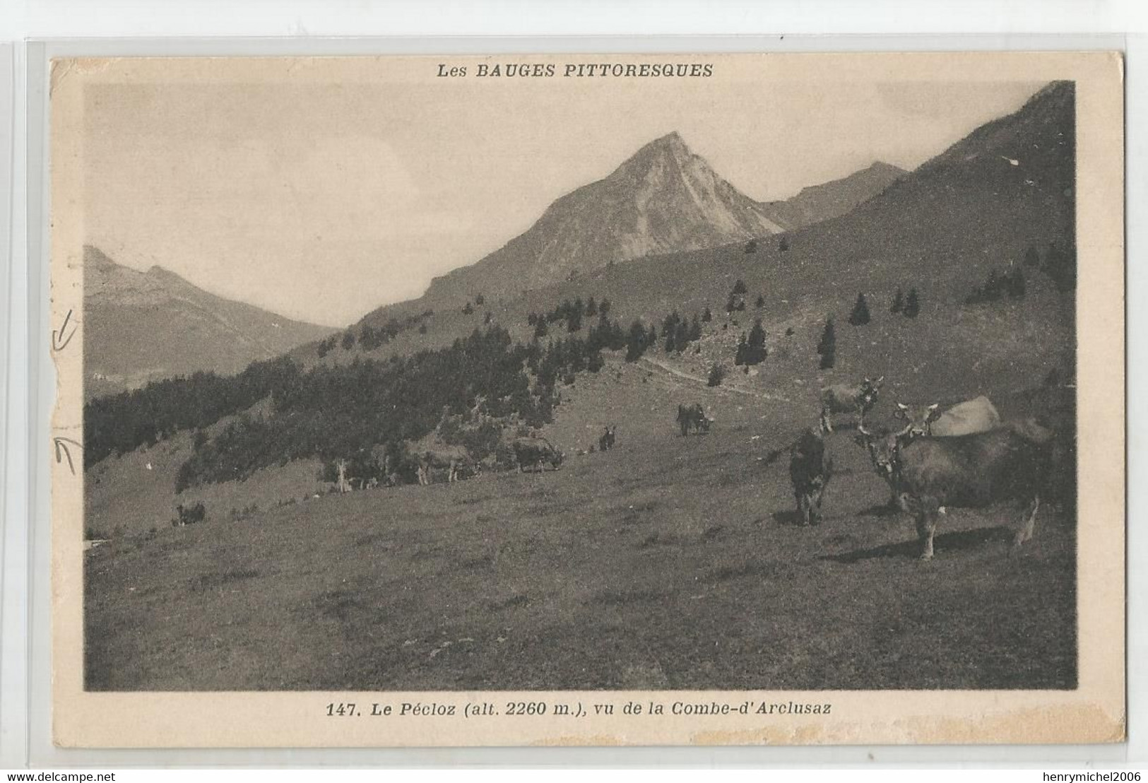 73 Savoie Les Bauges Pittoresques Le Pécloz Vu De La Combe D'arclusaz Vaches - Sonstige & Ohne Zuordnung