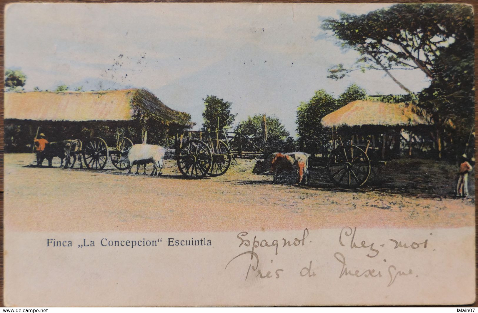 C. P. A. : GUATEMALA : Finca "La Concepcion" , ESCUINTLA , Sello En 1908 - Guatemala