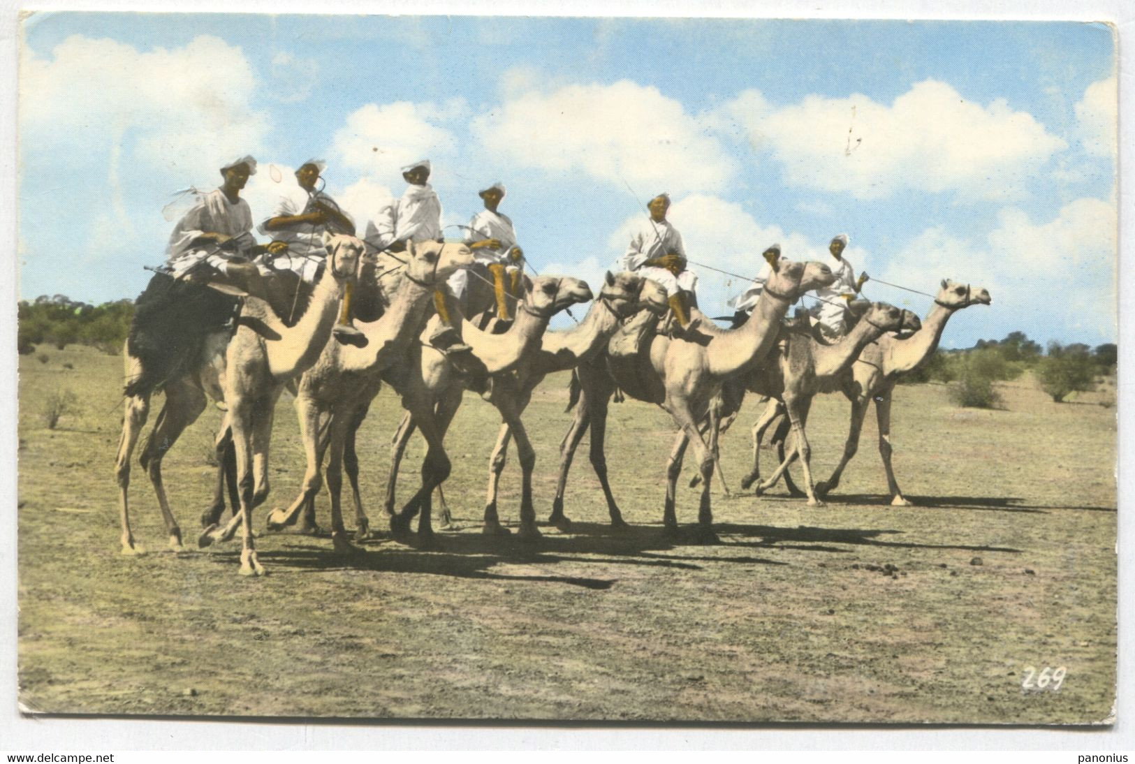 Camel Riders At El - Obeld Sudan - Sudan