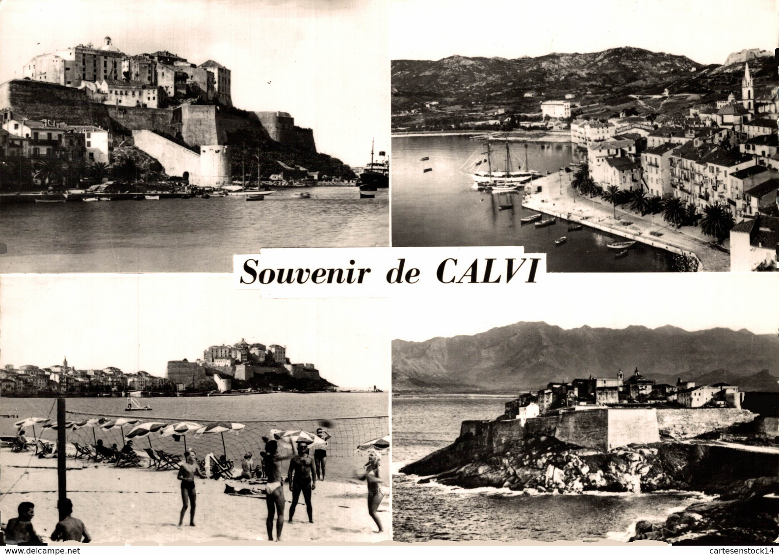 N°35322 Z -cpsm Souvenir De Calvi - Souvenir De...