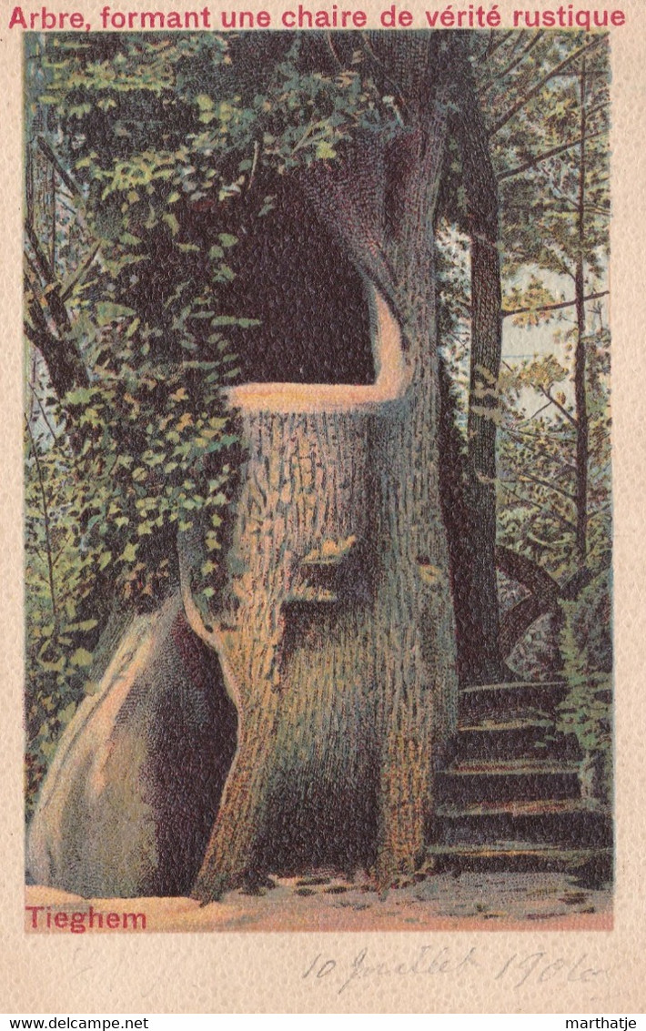 Arbre, Formant Une Chaire De Vérité Rustique - Tieghem - 1906 ! - Anzegem