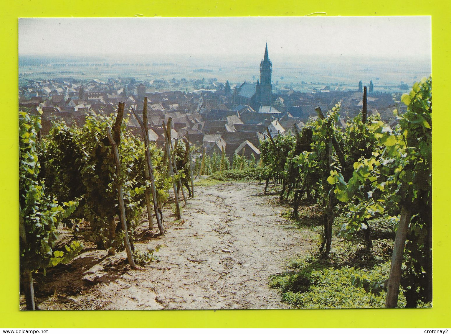 67 DAMBACG La Ville Dans Le Vignoble Vin Vigne Eglise Saint Etienne Altertümlicher Weinort Photo Kugler édit RIBO - Dambach-la-ville