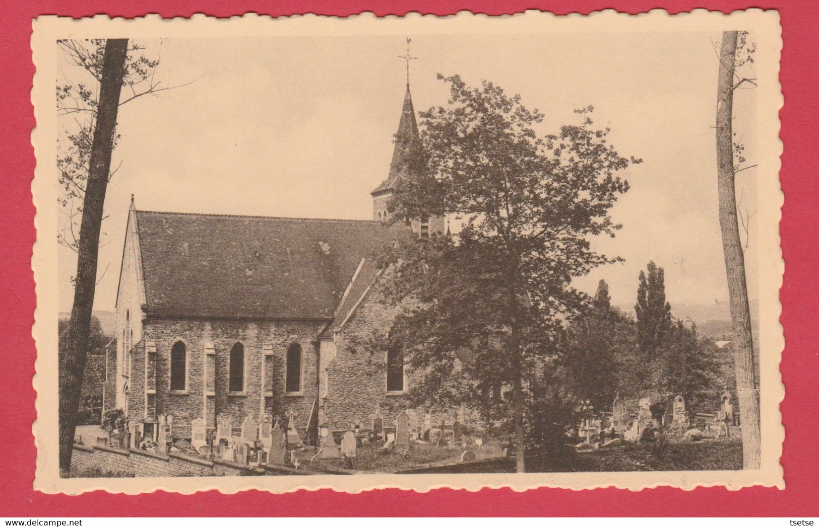 Montroeul-au-Bois - Le Sanctuaire De N.D. Des Joyaux Vu Du Bois  ( Voir Verso ) - Frasnes-lez-Anvaing