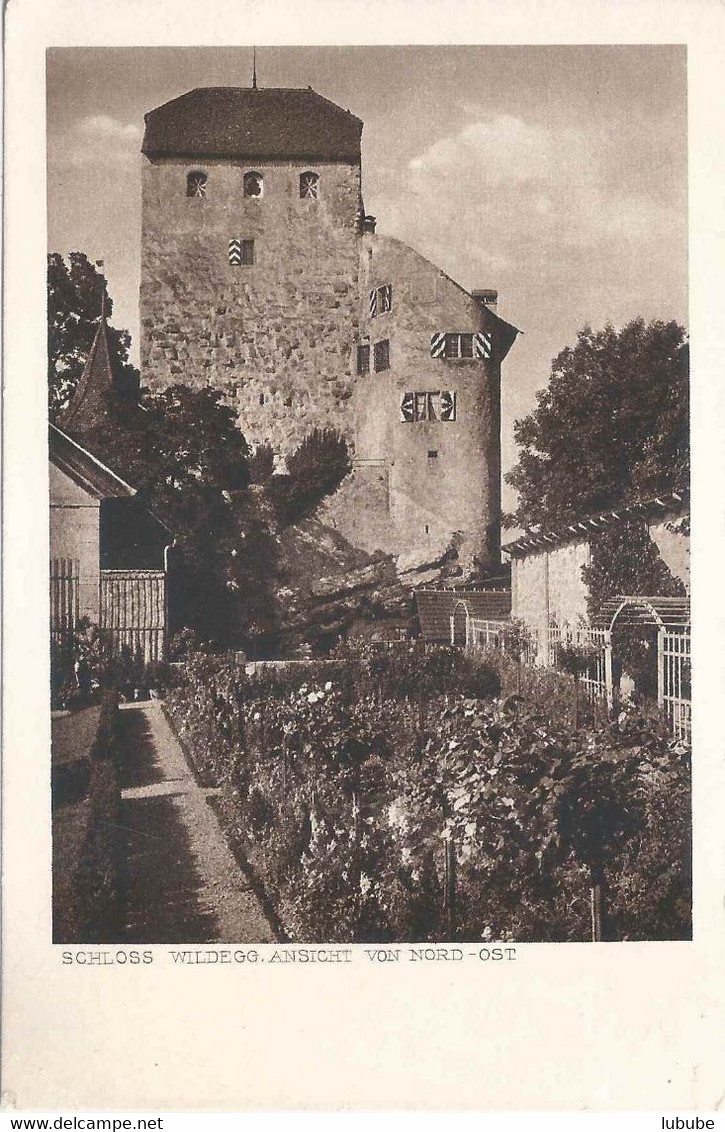 Schloss Wildegg - Ansicht Von Nordost       Ca. 1930 - Wildegg