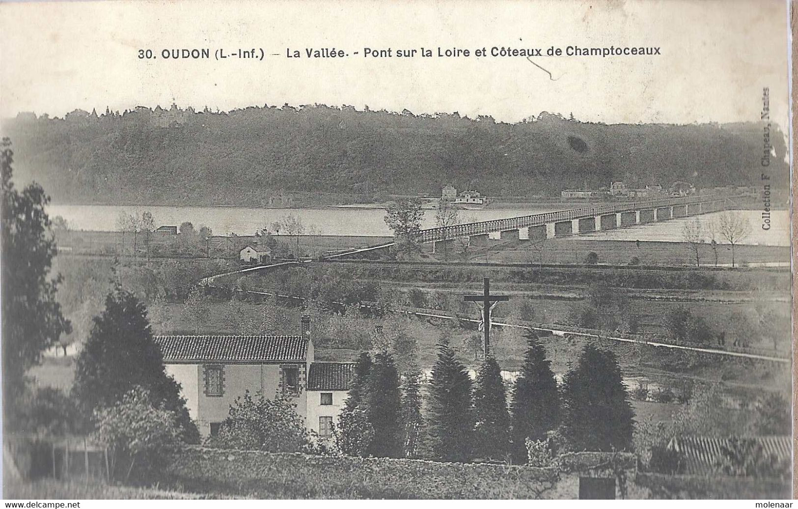 Frankrijk  Postkaart  Oudon "L Vallee - Pont Sur La Loire Et Cóteaux De Champtoceaux" Gebruikt  (9093) - Oudon