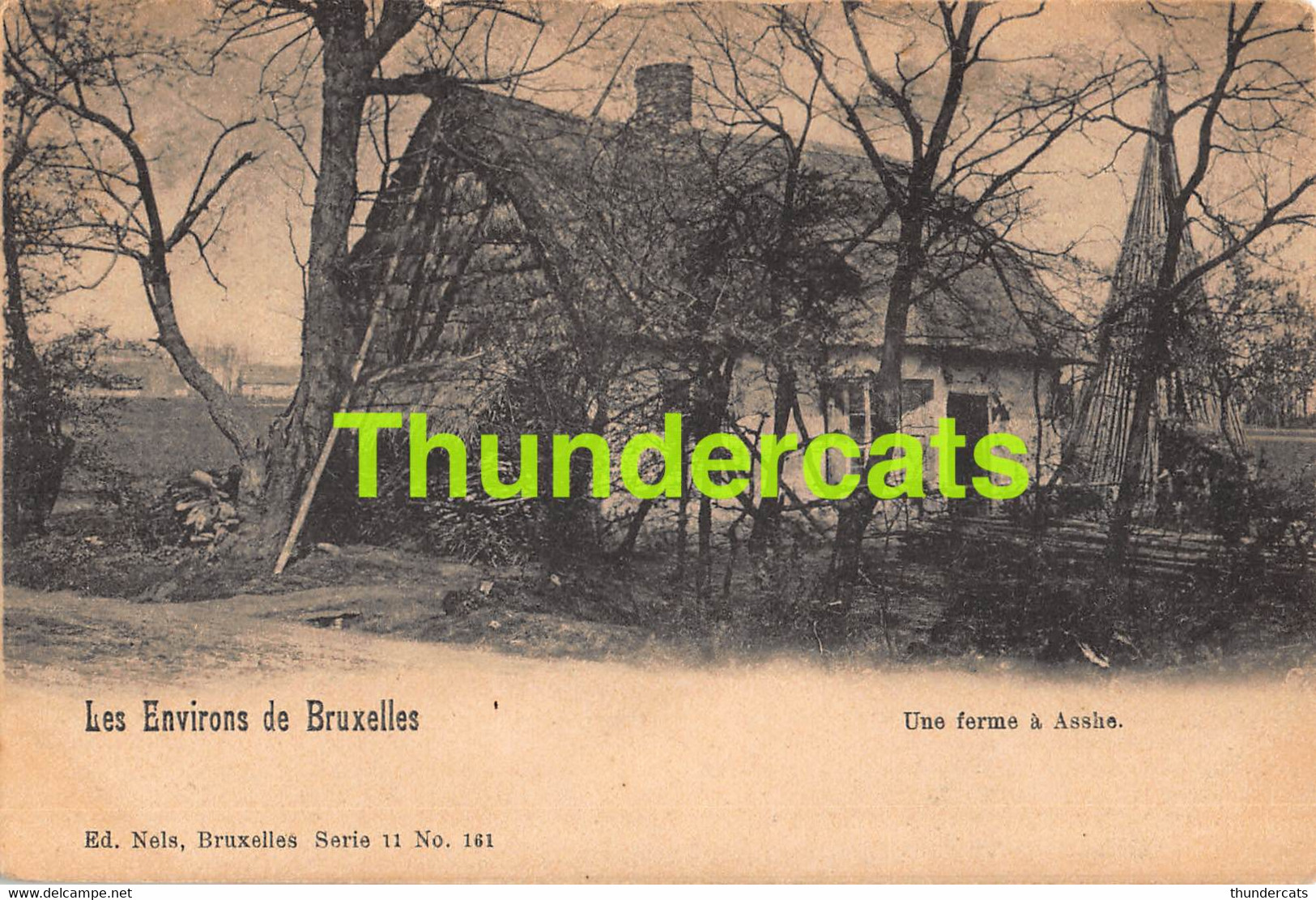 CPA ASSE ASSCHE LES ENVIRONS DE BRUXELLES UNE FEMRE A ASSCHE NELS SERIE 11 NO 161 - Asse