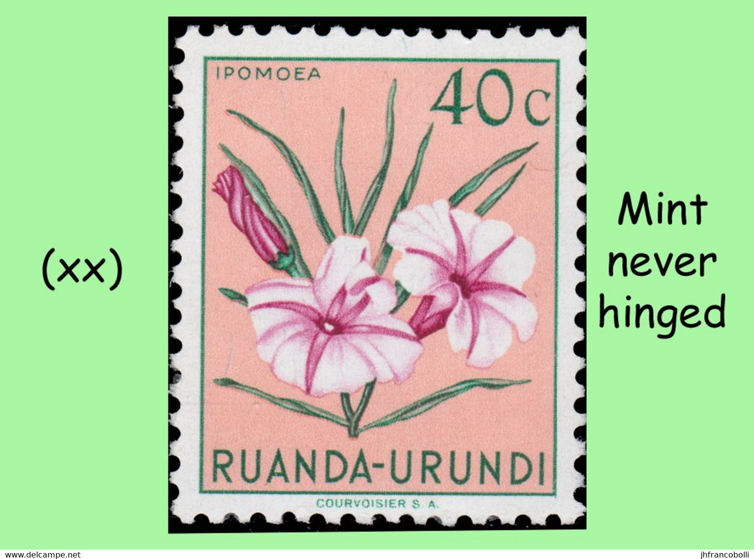 1953 ** RUANDA-URUNDI RU 177/195 MNH TROPICAL FLOWERS SET  ( x 19 stamps )