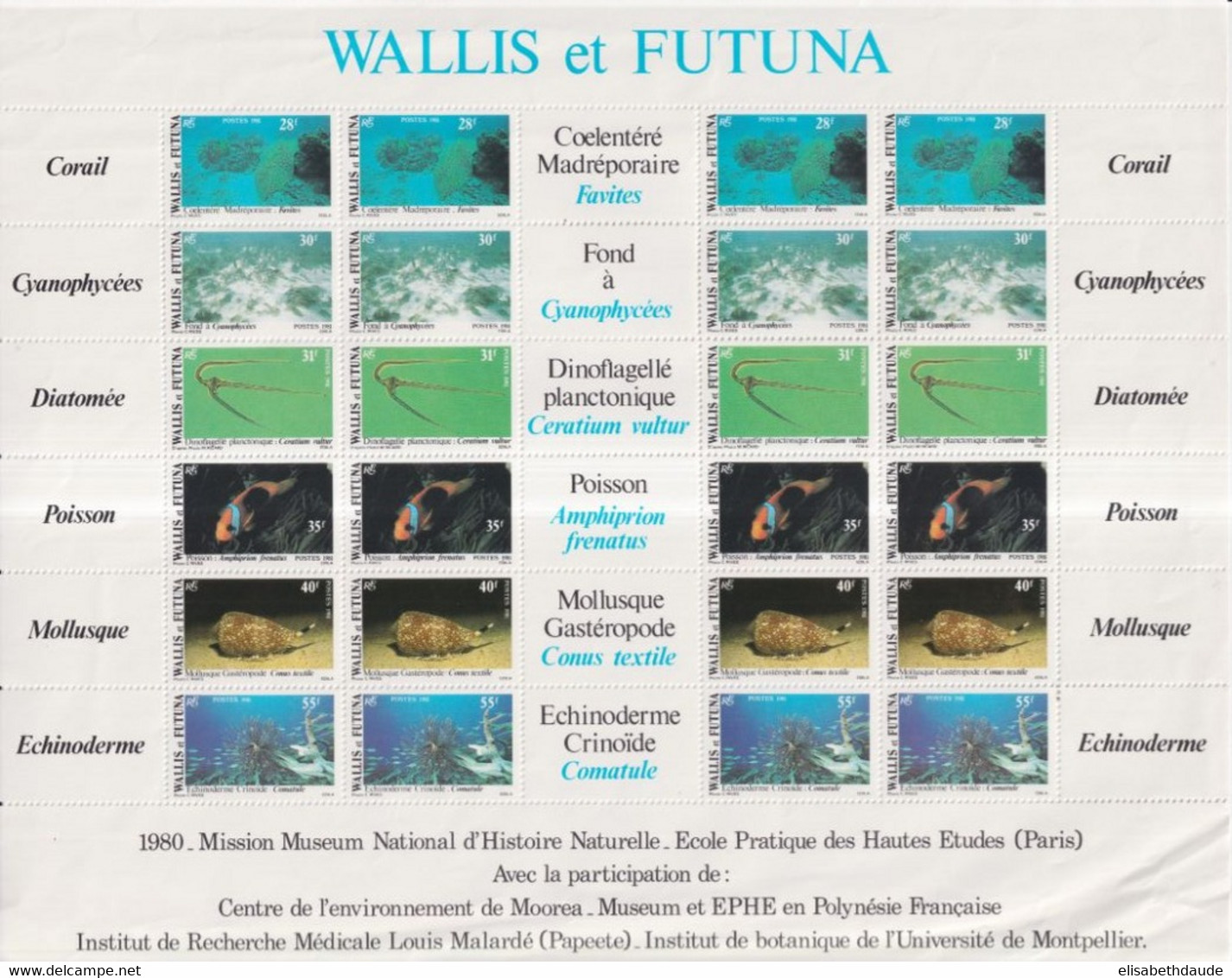 WALLIS ET FUTUNA - 1981 - FAUNE ET FLORE AQUATIQUE - FEUILLET COMPLET YVERT N° 267/272 ** MNH - COTE = 72 EUR. - Hojas Y Bloques