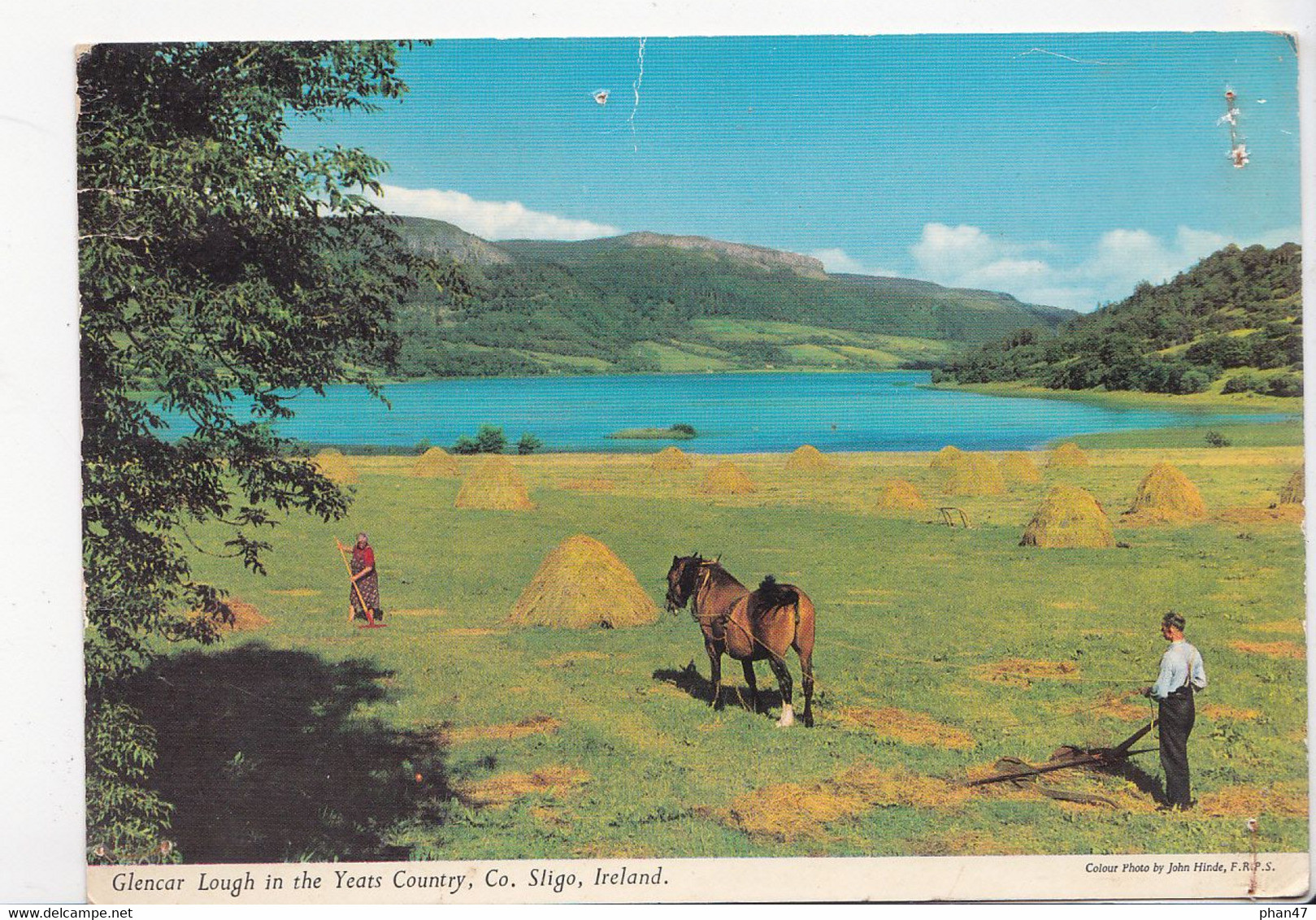 IRLANDE, SLIGO, Cheval De Labour à L'ancienne,  Ed. John Hinde 1990 Environ - Sligo