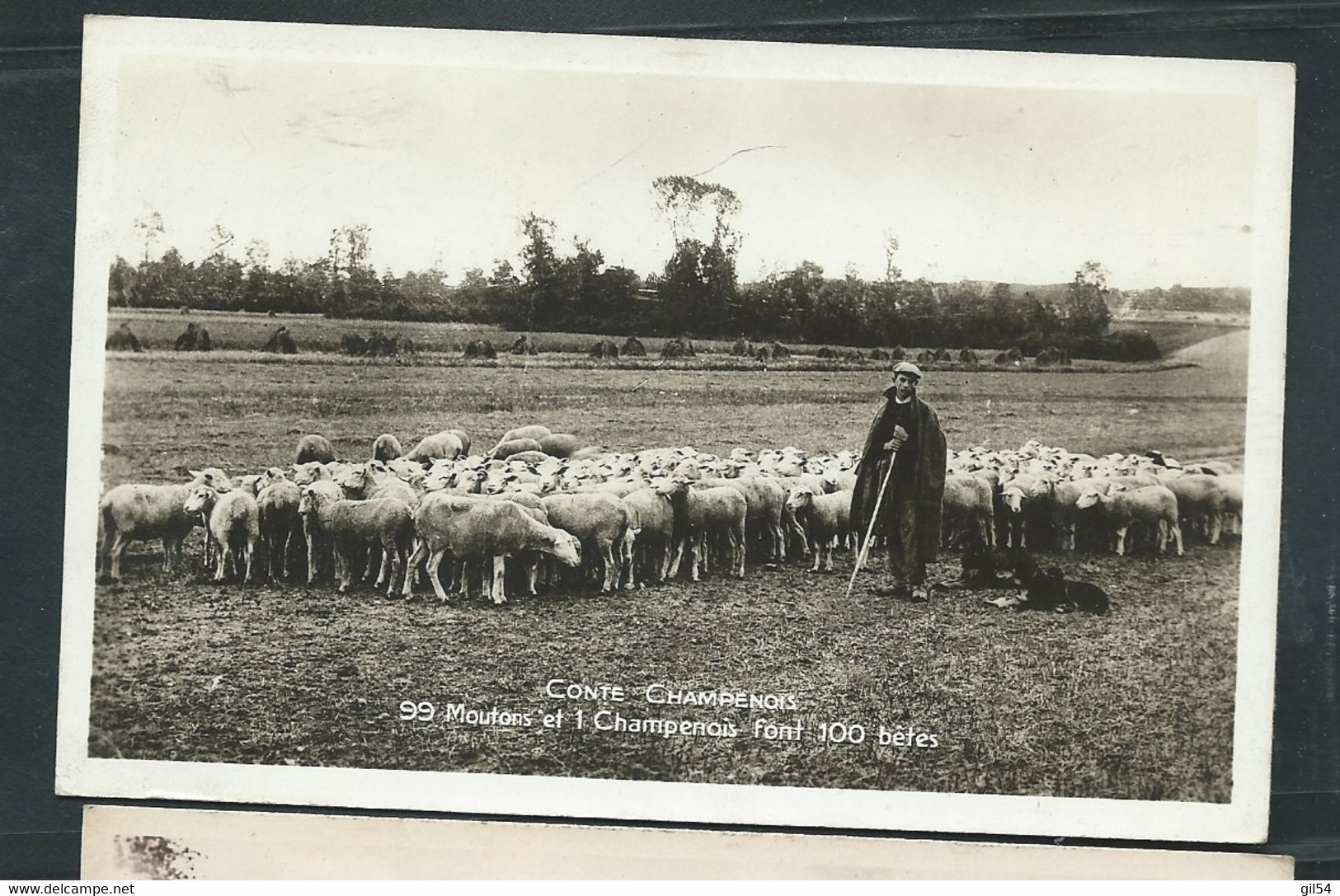 Cont Champenois - 99 Moutons Et 1 Champenois Font 100 Bêtes     - Dax 20007 - Champagne-Ardenne