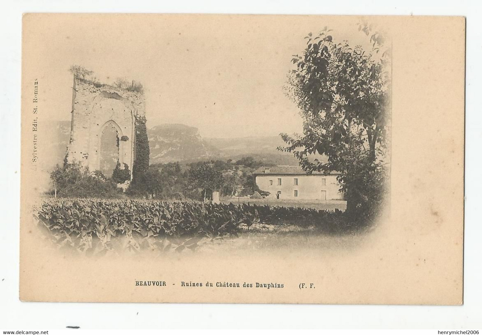 38 Isère  Beauvoir Ruines Du Chateau Des Dauphins Ed Sylvestre A St Romans - Sonstige & Ohne Zuordnung