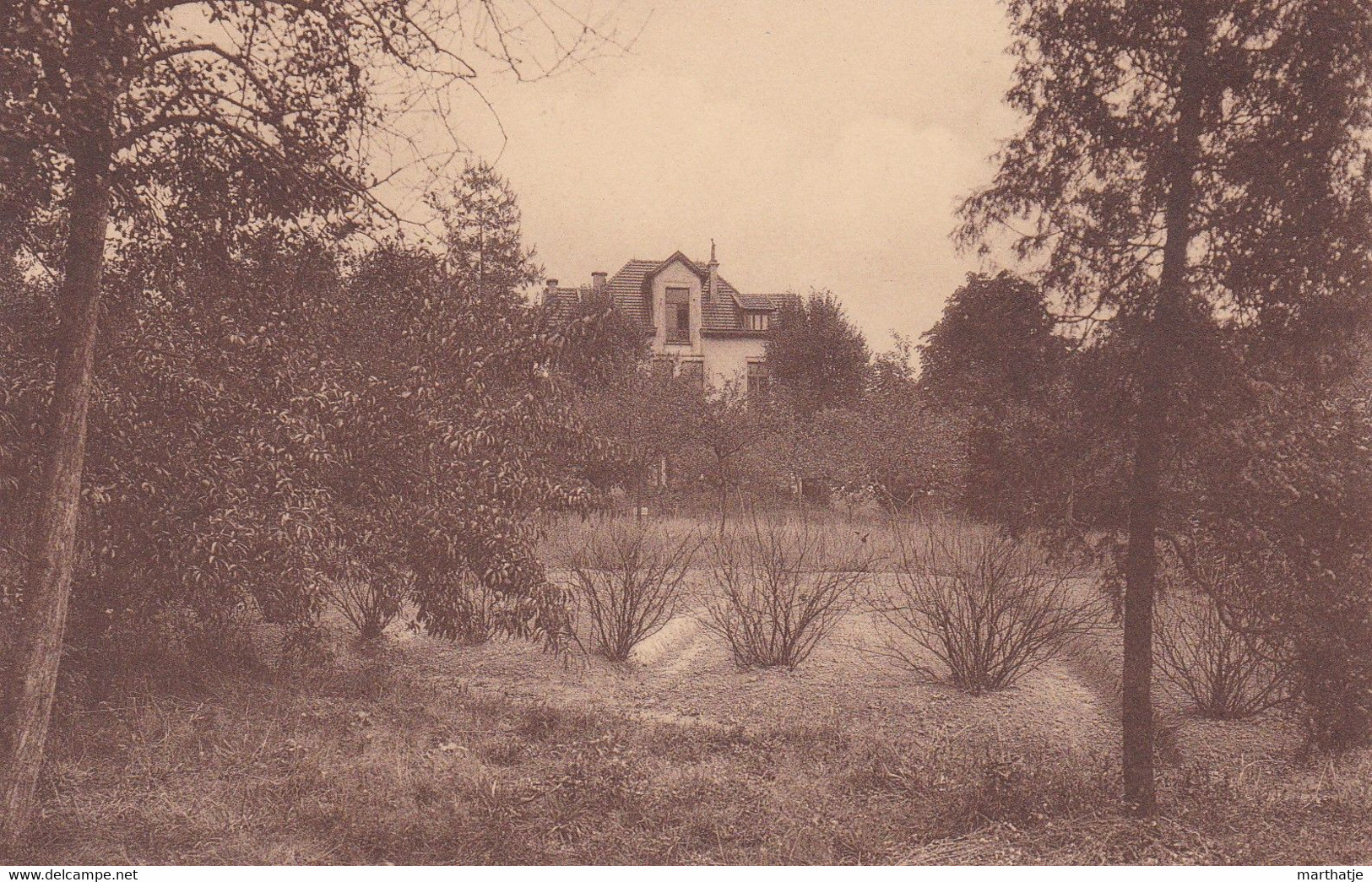 Home De Repos Pour Institutrices-2,Avenue Lequime, Petite Espinette (Rhode St. Genèse) - Un Coin De Potager - Rhode-St-Genèse - St-Genesius-Rode