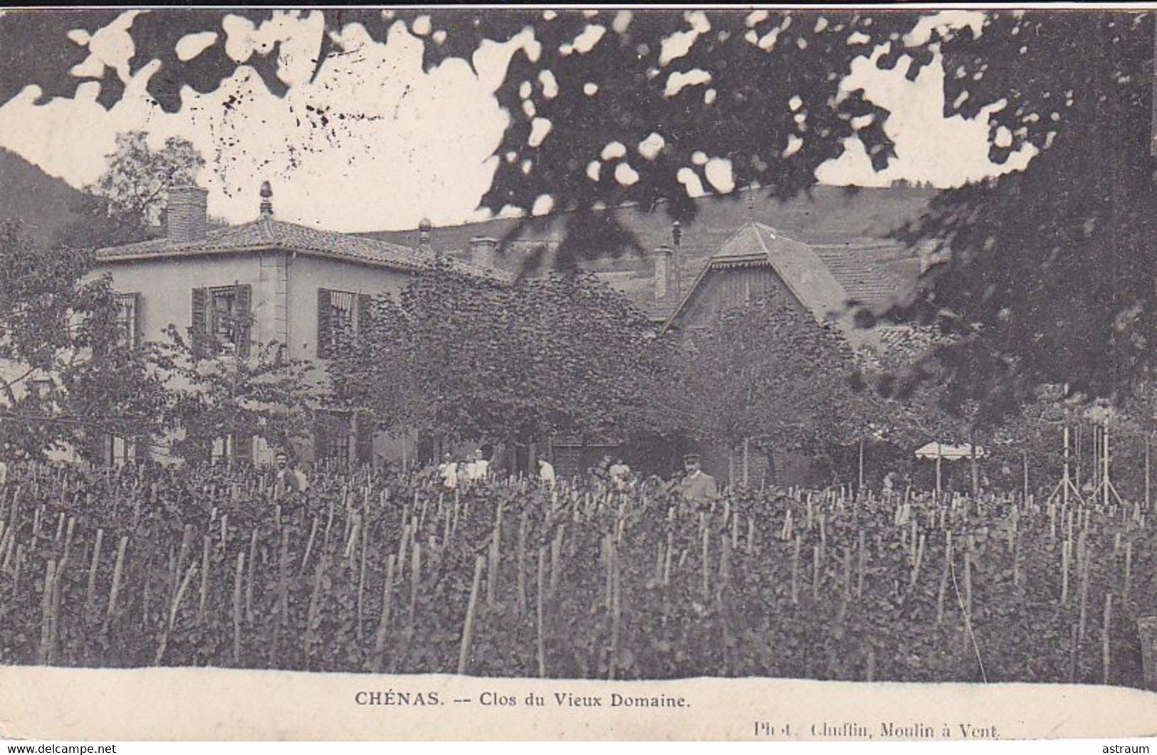 Cpa-69- Chenas - Clos Du Vieux Domaine -photo Chuffin - Chenas