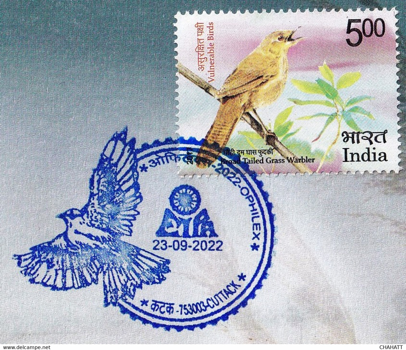 BIRDS-INDIAN ROLLER - STATE BIRD OF ODISHA- SPECIAL COVER- LIMITED ISSUE- SCARCE- BX3-01 - Cuco, Cuclillos