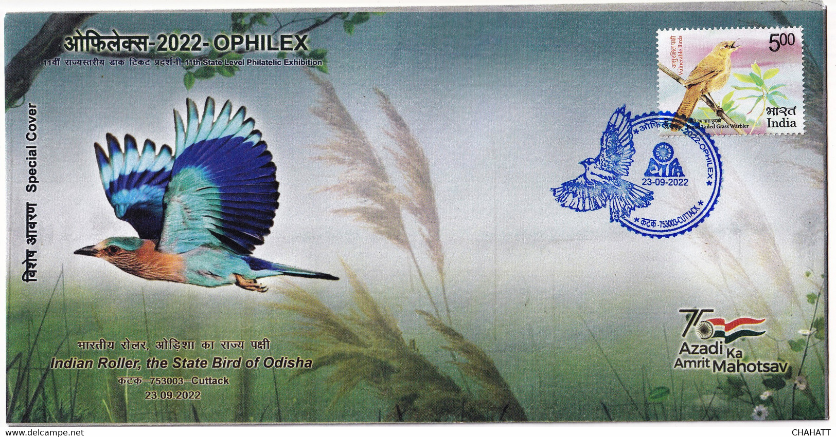 BIRDS-INDIAN ROLLER - STATE BIRD OF ODISHA- SPECIAL COVER- LIMITED ISSUE- SCARCE- BX3-01 - Coucous, Touracos