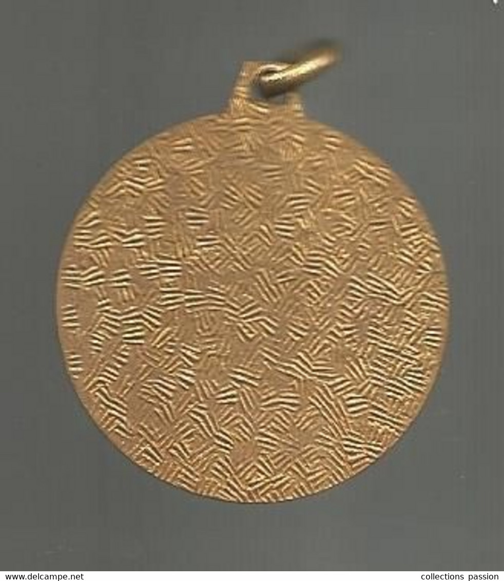 Médaille,, ACCORDEON CLUB DE FRANCE, Musique & Musiciens, 2 Scans , Frais Fr 1.65 E - Profesionales / De Sociedad