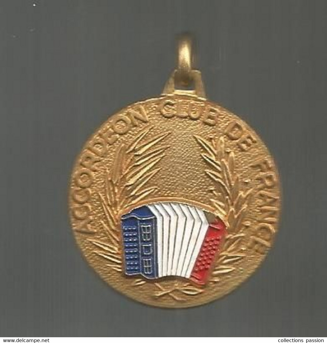 Médaille,, ACCORDEON CLUB DE FRANCE, Musique & Musiciens,2 Scans , Frais Fr 1.65 E - Professionali / Di Società