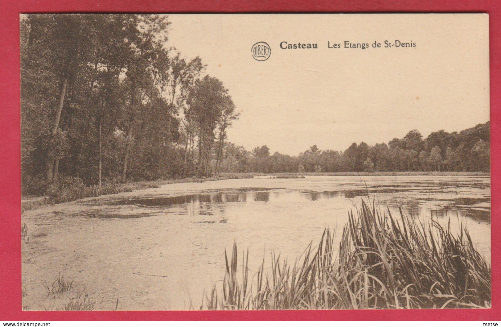 Casteau - Les Etangs De St-Denis  ( Voir Verso ) - Soignies