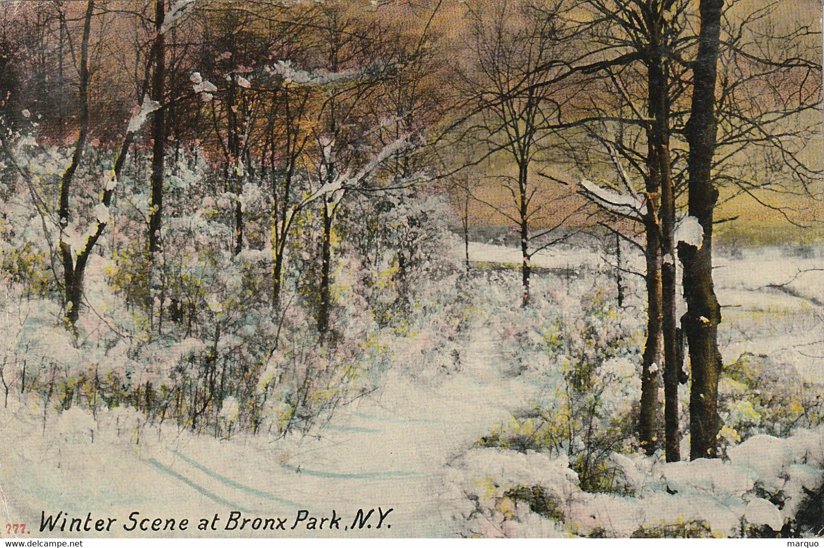 New York Bronx Park Winter Scene 1909 - Bronx