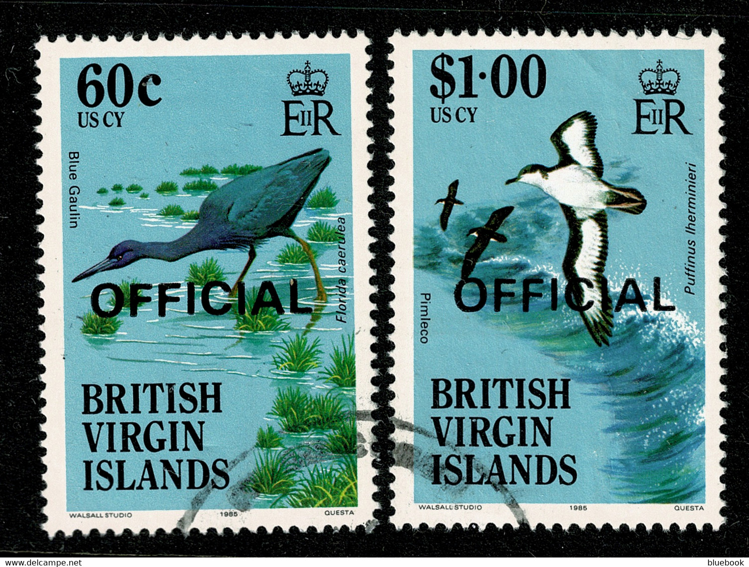 Ref 1572 - British Virgin Islands - Officials Used Bird Stamps - SG O30 & O31 - British Virgin Islands