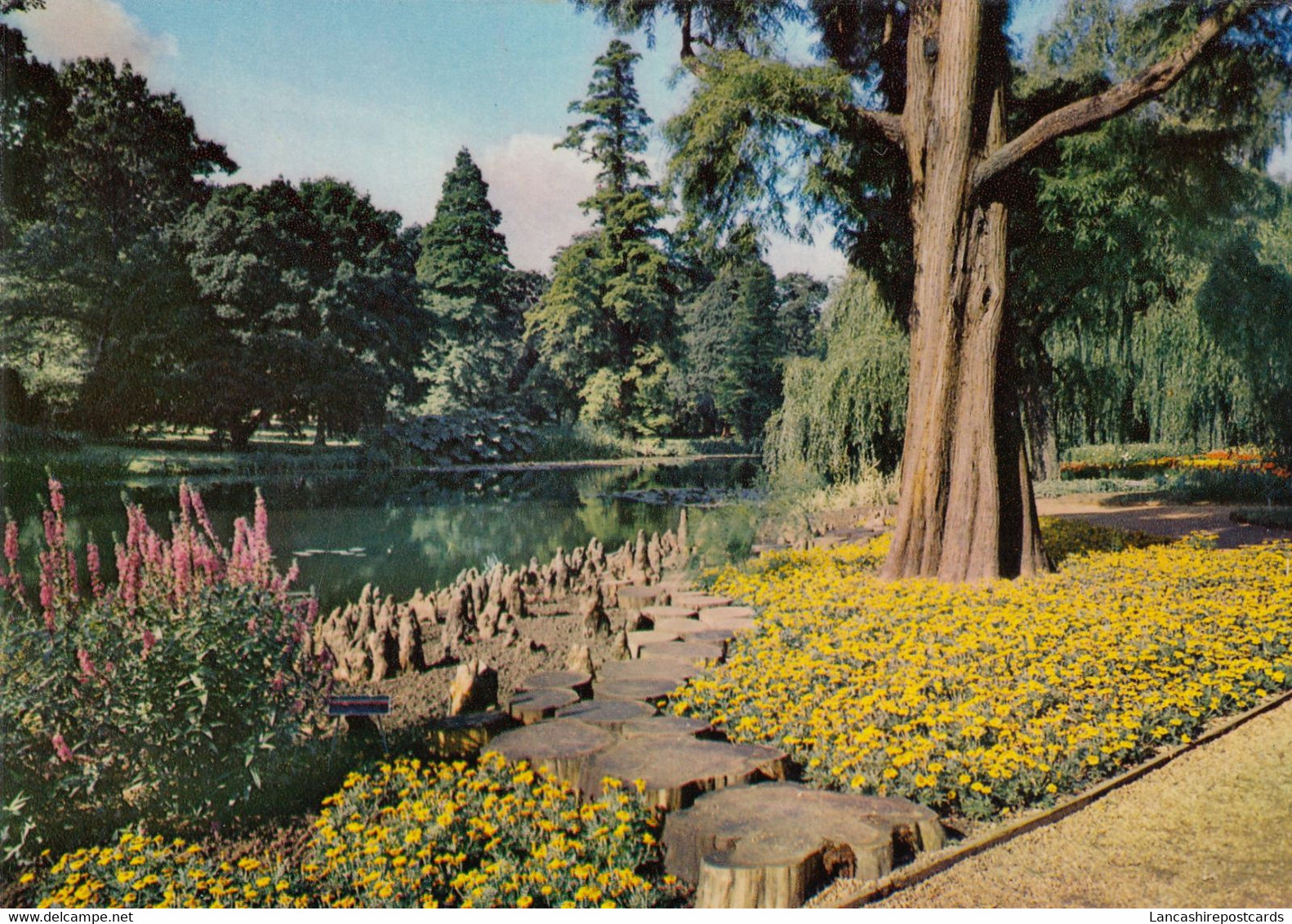 Postcard The Lake The Gardening Centre Syon Park Brentford Middlesex My Ref B25776 - Middlesex