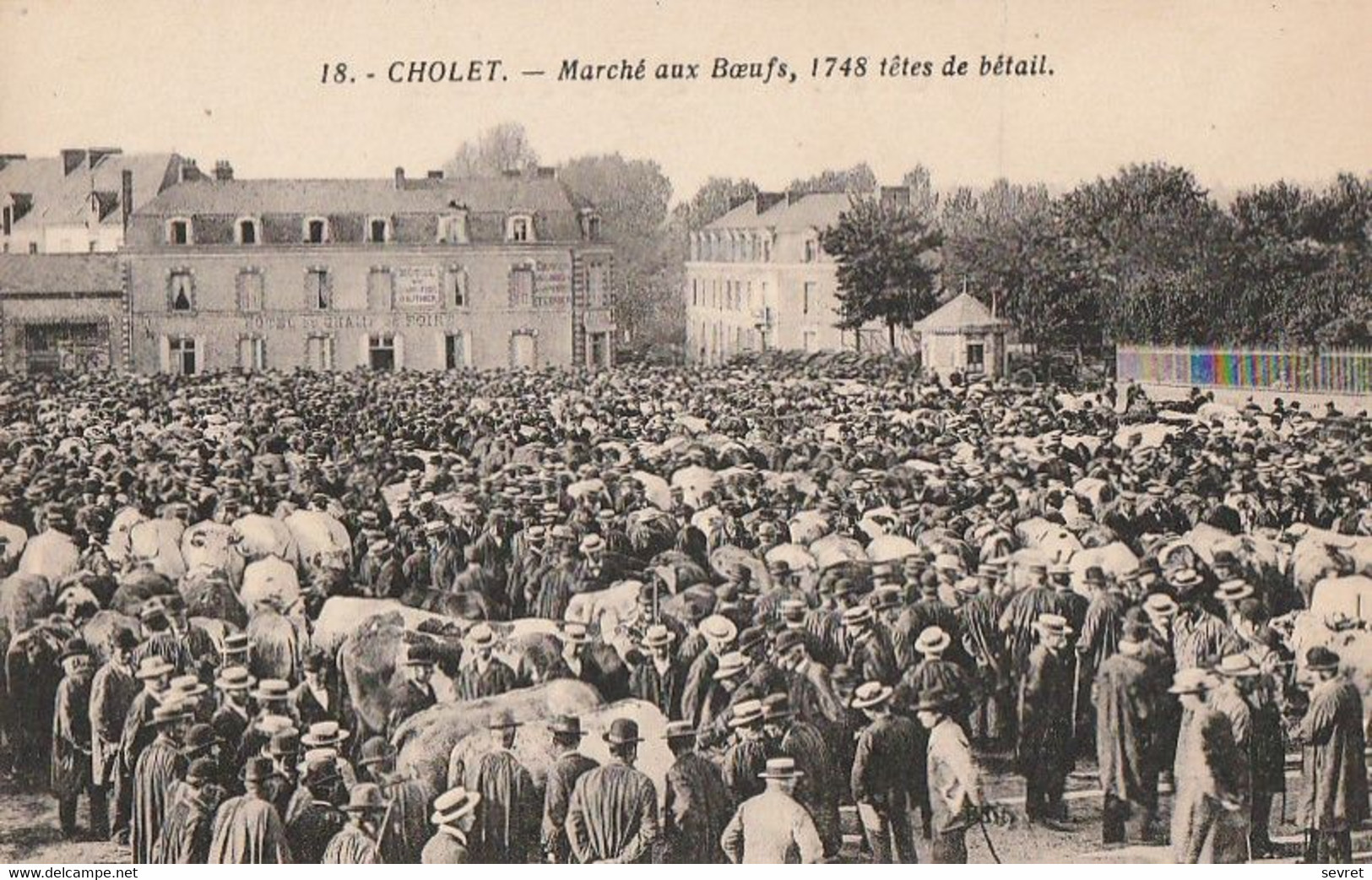 CHOLET. - Marché Aux Boeufs, 1748 Têtes De Bétail - Cholet