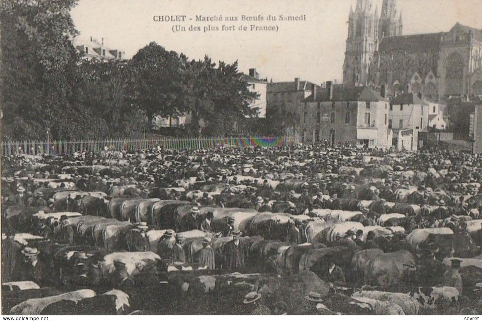 CHOLET. - Marché Aux Boeufs Du Samedi - Cholet