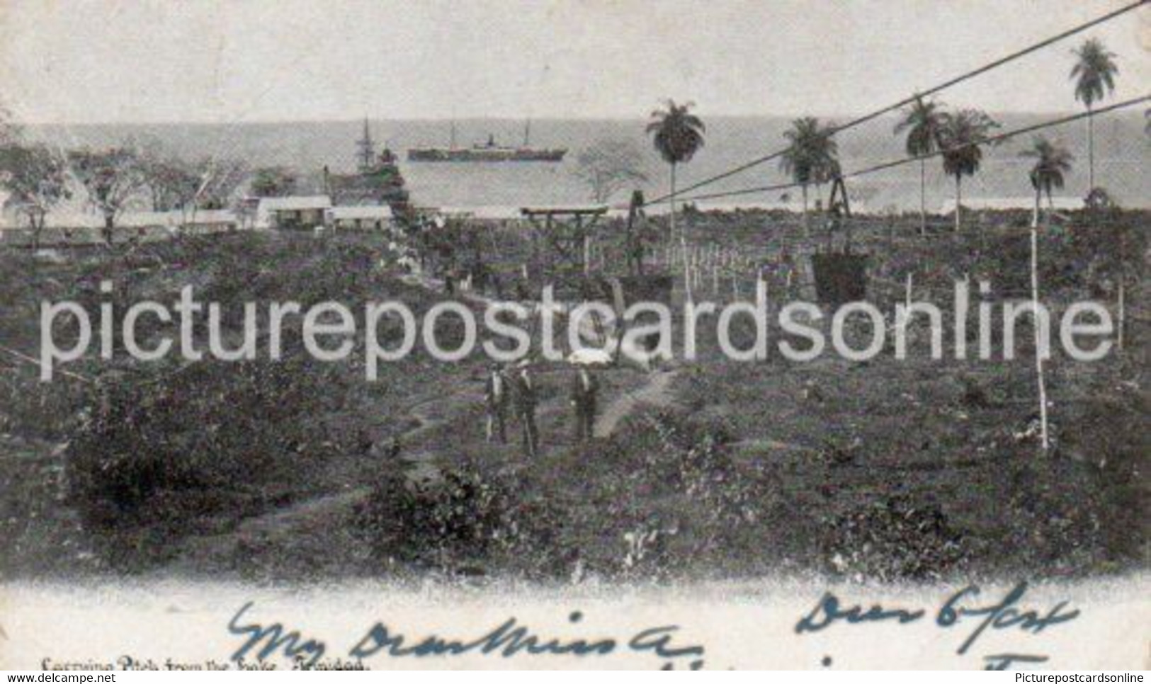 CARRYING PITCH FROM THE LAKE TRINIDAD OLD B/W POSTCARD ANTILLES AMERICA 1904 - Trinidad