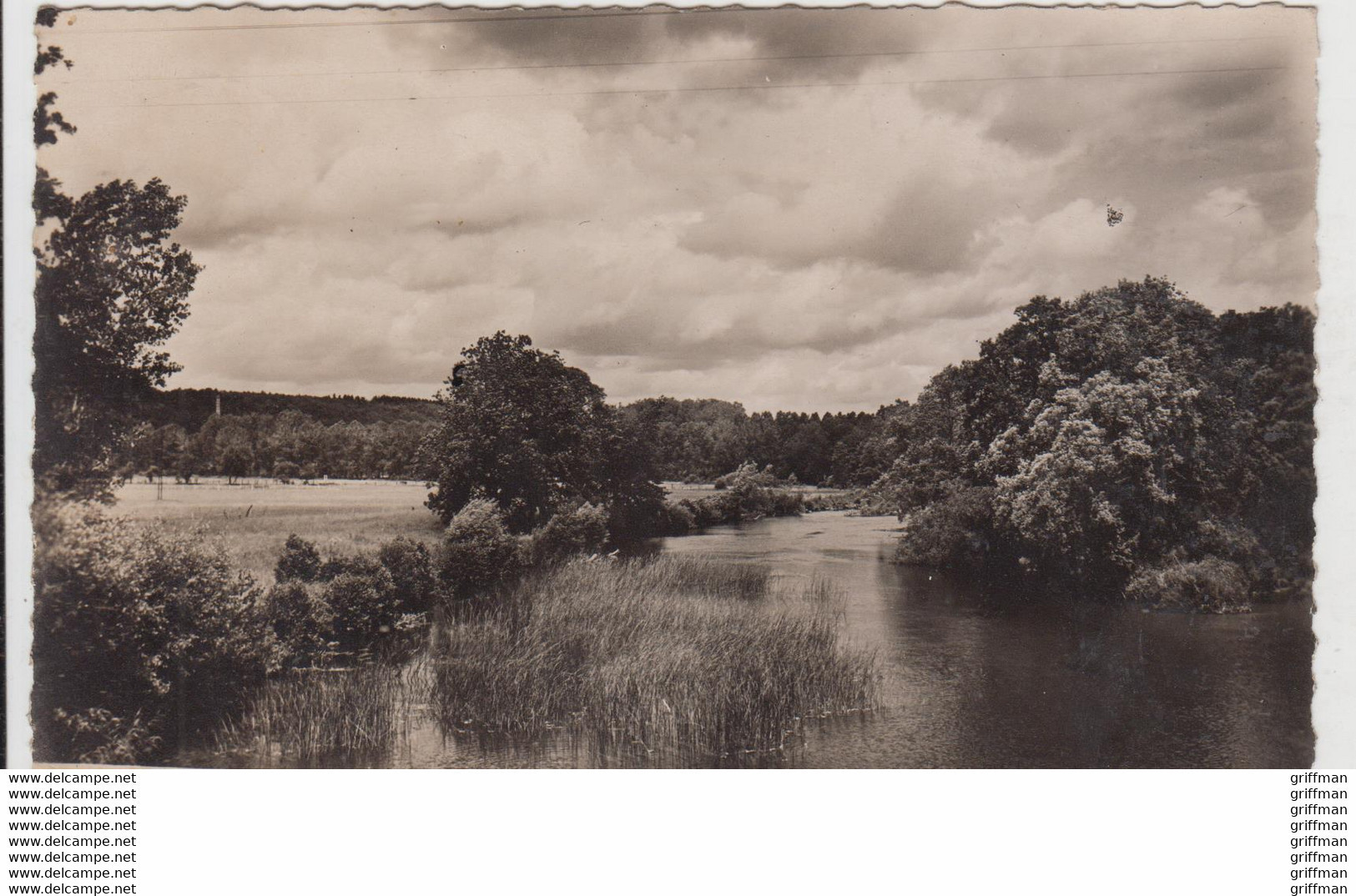 CHEVILLON VUE PRISE DU PONT DE MARNE CPSM 9X14 TBE - Chevillon