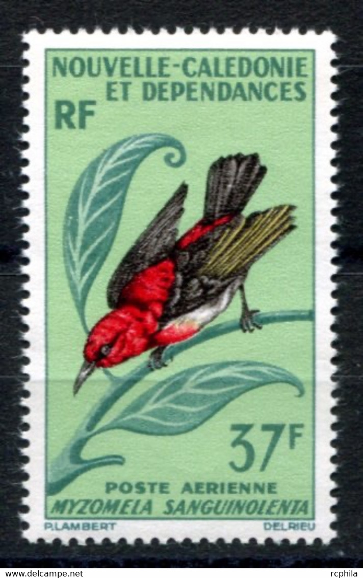 RC 23883 Nelle CALEDONIE COTE 15€ PA N° 89 FAUNE OISEAU NEUF ** MNH TB - Ungebraucht