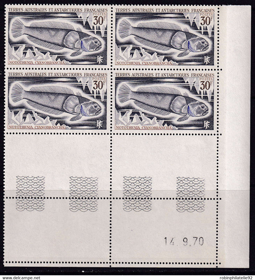 TERRES AUSTRALES  COINS DATES N°34 /38 Poissons Divers 5 Valeurs  Qualité:** Cote:104 - Used Stamps