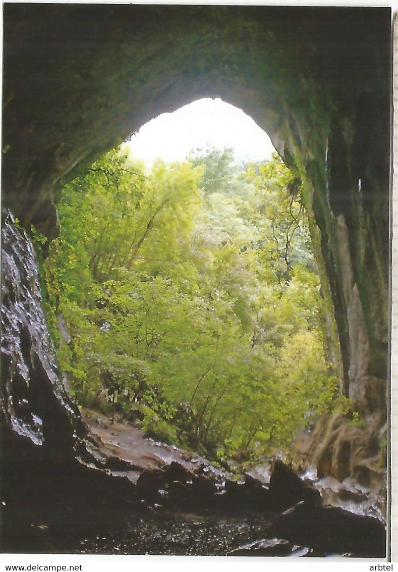 ENTERO POSTAL TARIFA A CUEVA DE ZUGARRAMURDI MAT MUSEO DE LAS BRUJAS ELIZONDO NAVARRA - 1931-....