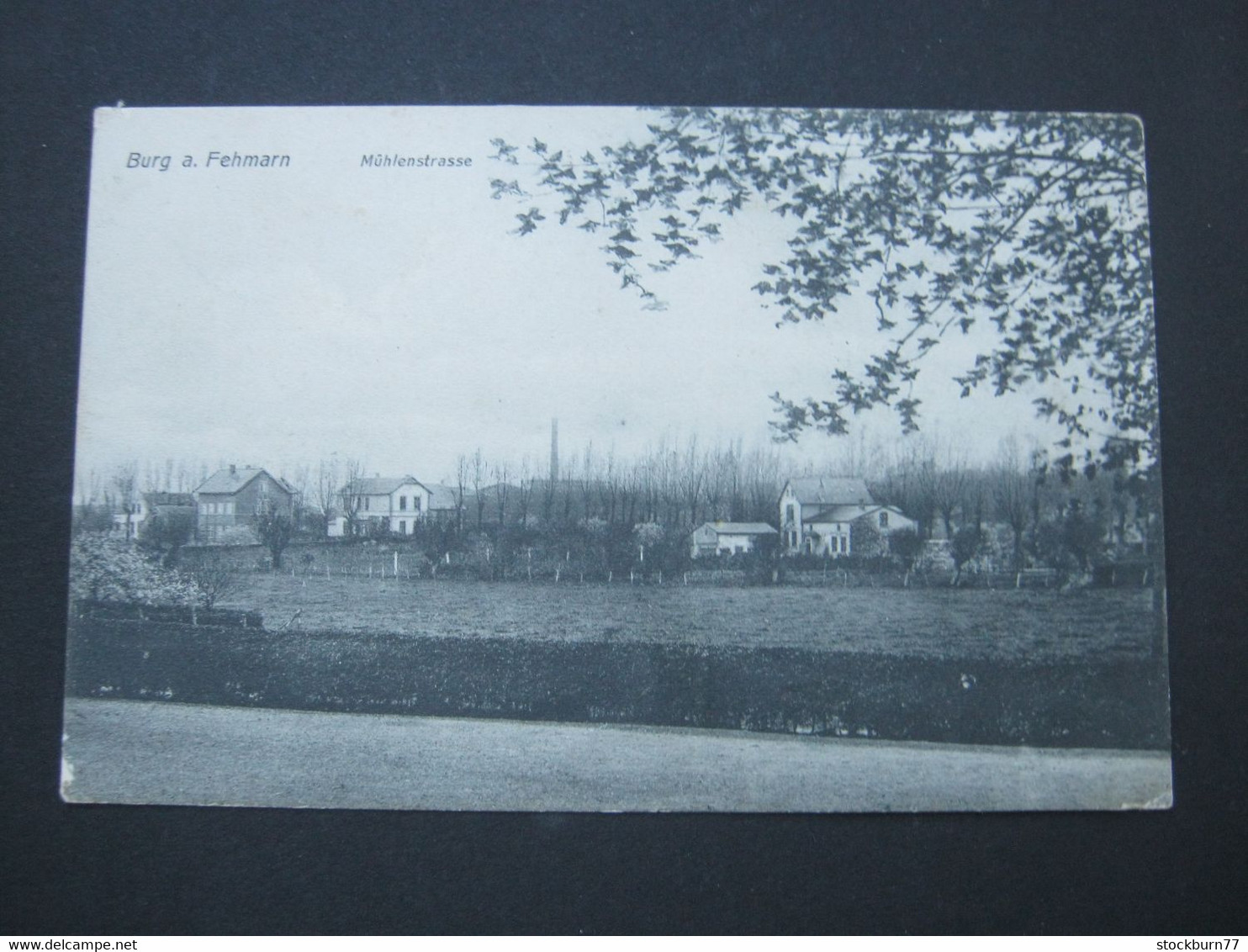 Burg Auf Fehmarn  , Schöne Karte  Um 1906 - Fehmarn