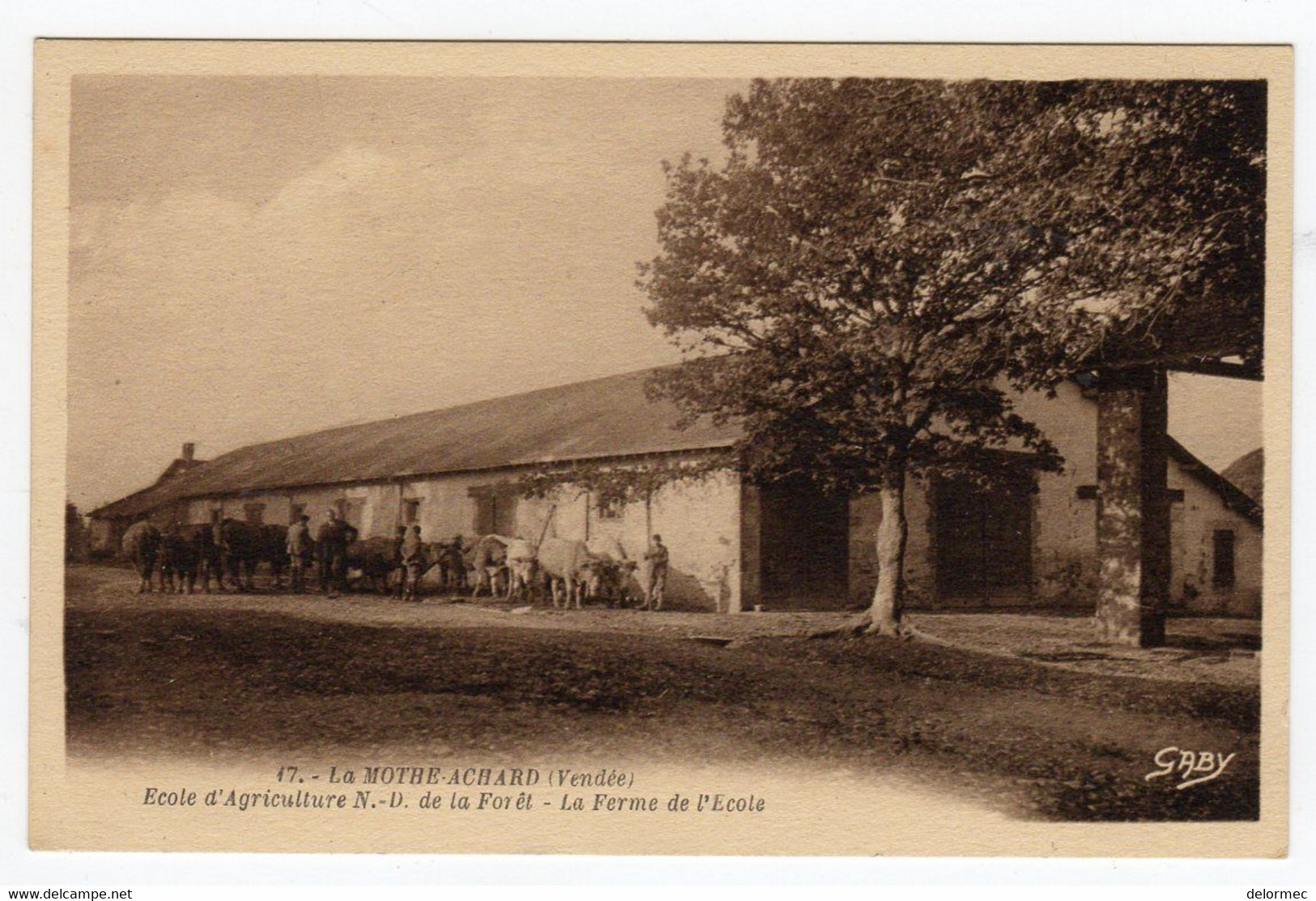 CPSM La Mothe Achard 85 Vendée Ecole Agriculture Notre Dame De La Forêt Troupeau Vaches Devant La Ferme éd Artaud Gaby - La Mothe Achard